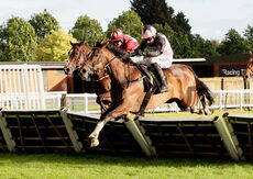 Virtus Property Services Handicap Hurdle