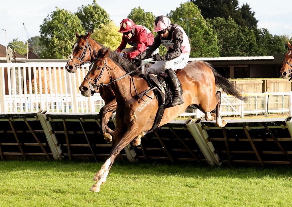 Virtus Property Services Handicap Hurdle