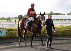 Virtus Property Services Handicap Hurdle
