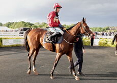 Virtus Property Services Handicap Hurdle