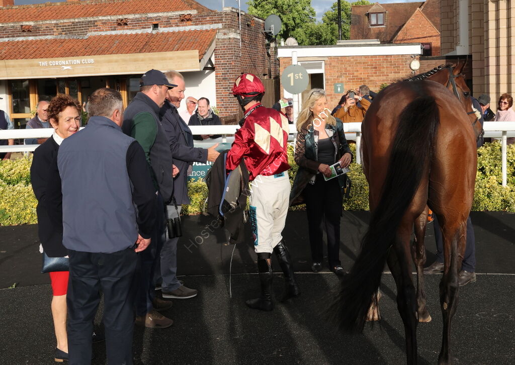 Virtus Property Services Handicap Hurdle