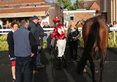 Virtus Property Services Handicap Hurdle