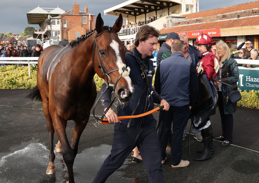 Virtus Property Services Handicap Hurdle