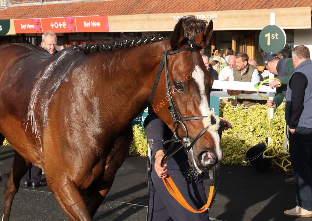 Virtus Property Services Handicap Hurdle
