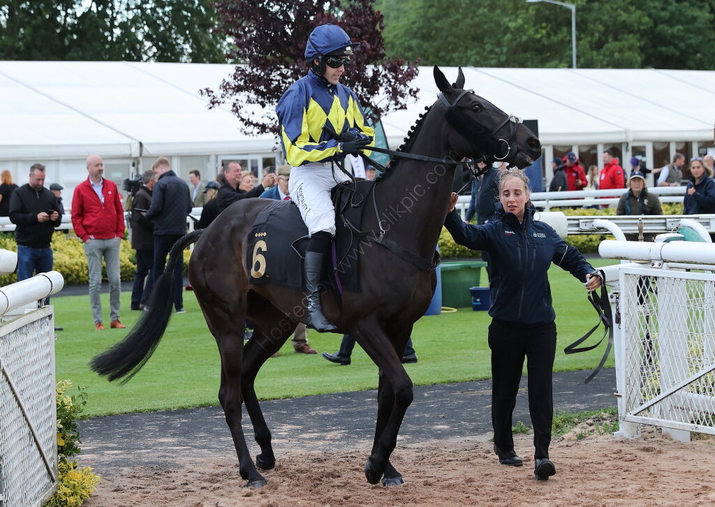 Rainier Developments Handicap Chase