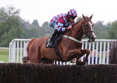 Rainier Developments Handicap Chase