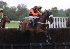 Rainier Developments Handicap Chase