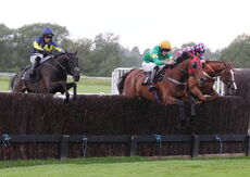 Rainier Developments Handicap Chase