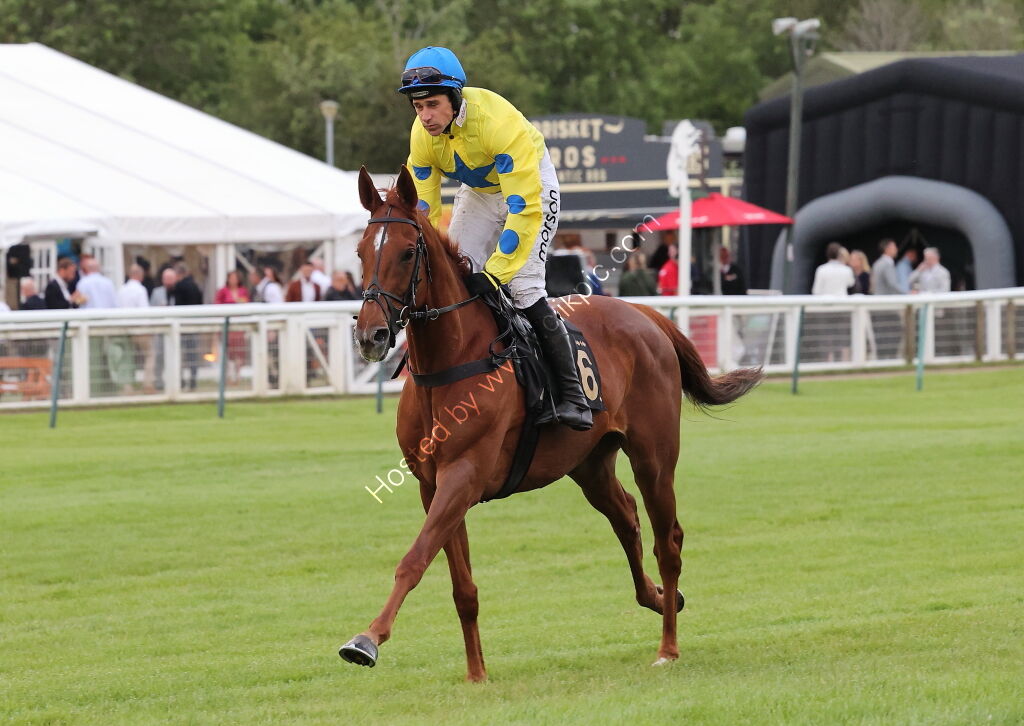 Stockton House Mares' Handicap Hurdle