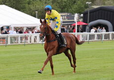 Stockton House Mares' Handicap Hurdle