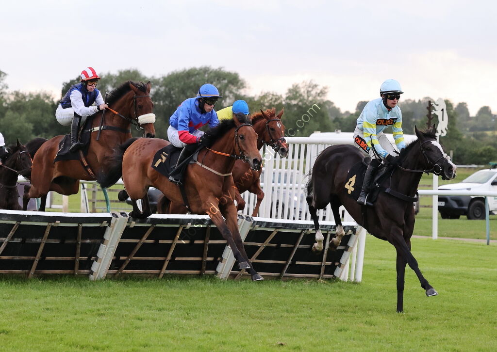 Stockton House Mares' Handicap Hurdle