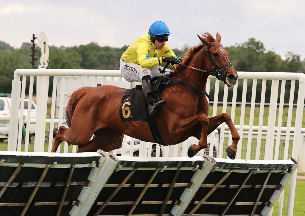Stockton House Mares' Handicap Hurdle