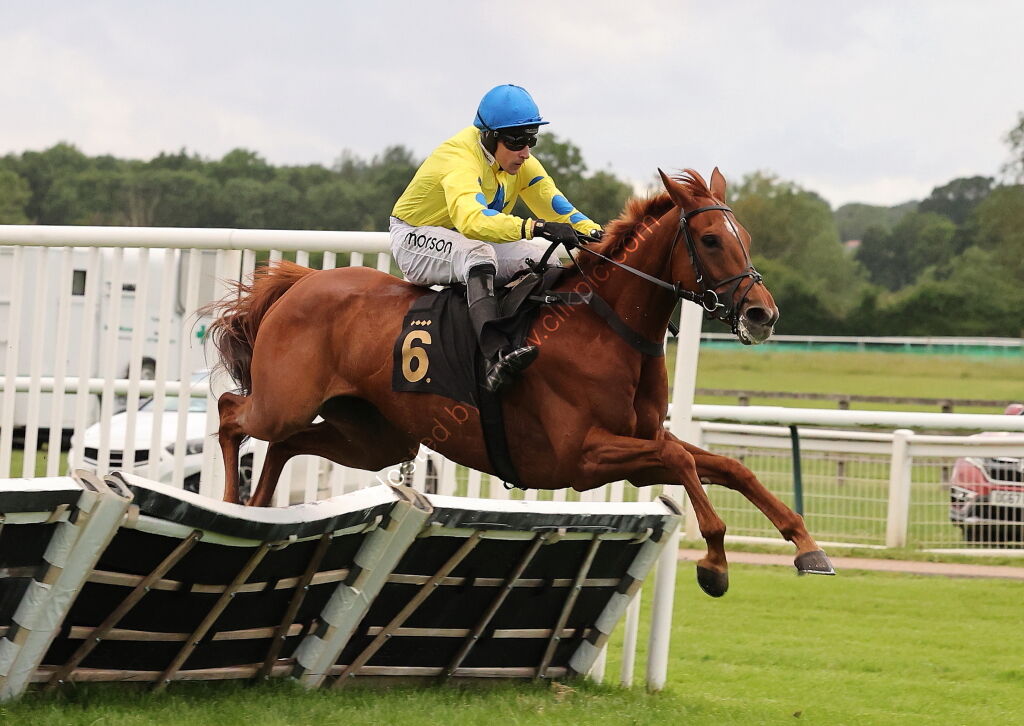 Stockton House Mares' Handicap Hurdle