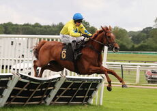 Stockton House Mares' Handicap Hurdle