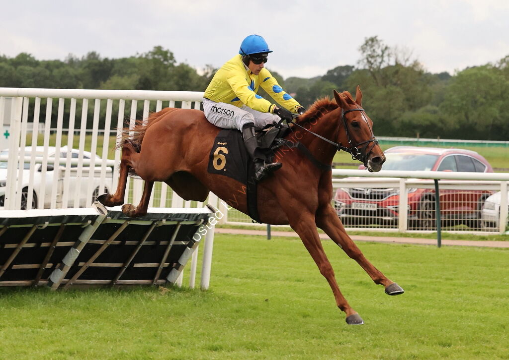 Stockton House Mares' Handicap Hurdle
