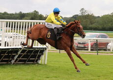 Stockton House Mares' Handicap Hurdle