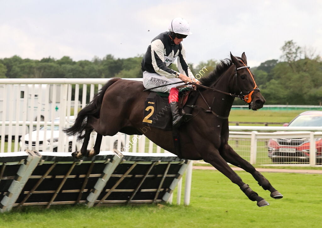 Stockton House Mares' Handicap Hurdle
