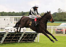 Stockton House Mares' Handicap Hurdle