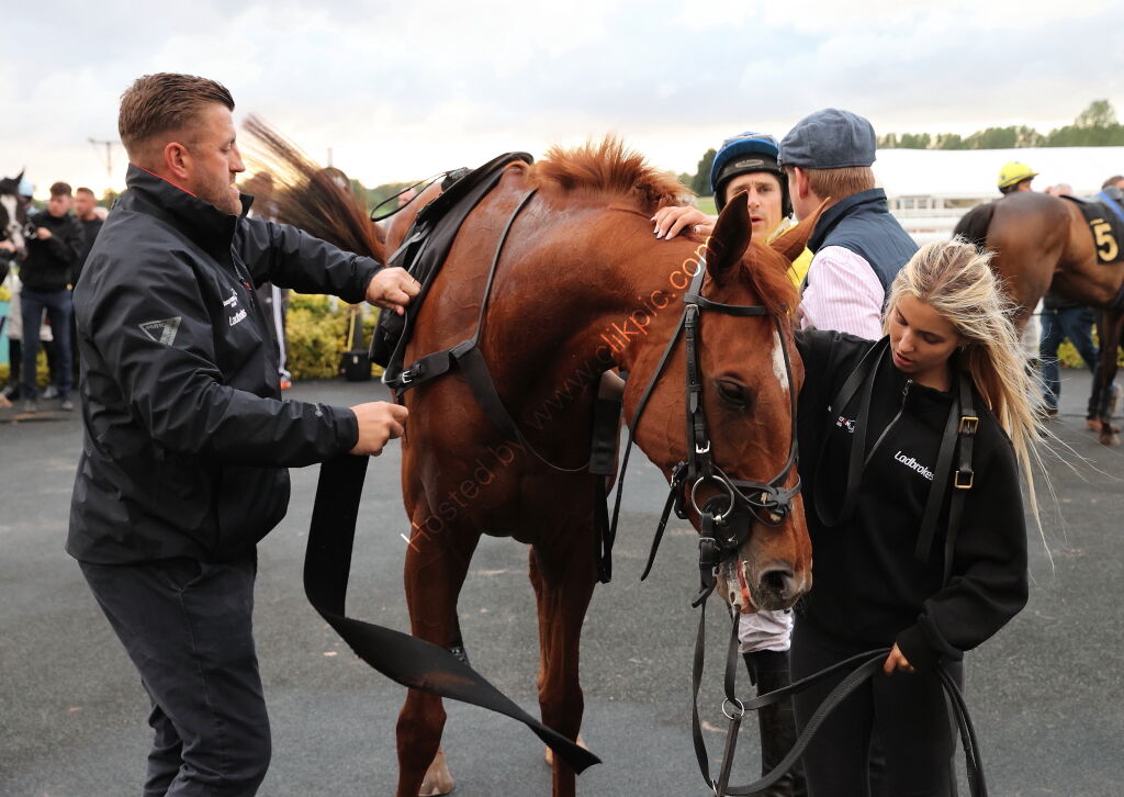 Stockton House Mares' Handicap Hurdle
