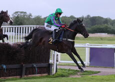 Taylor Wimpey Handicap Chase