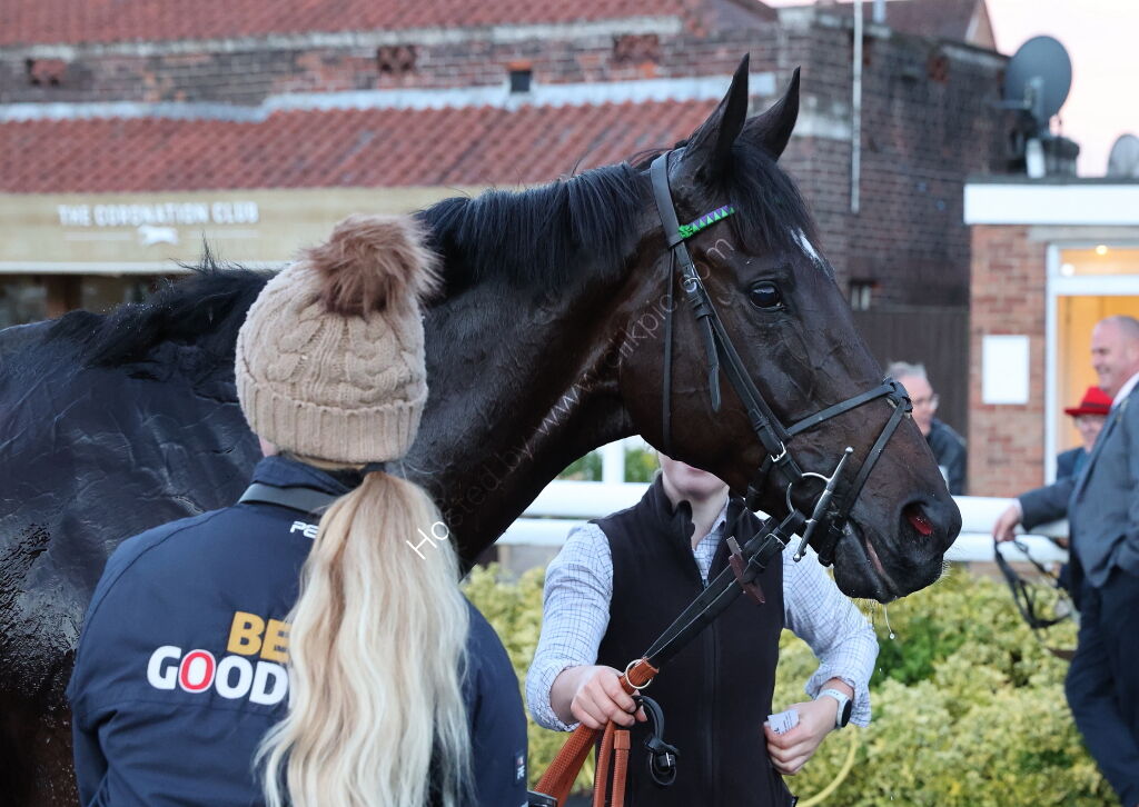 Taylor Wimpey Handicap Chase