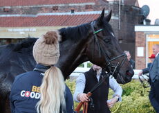 Taylor Wimpey Handicap Chase