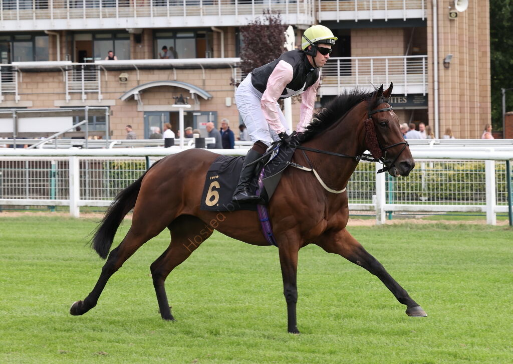 Molson Coors Con Jockeys' Handicap Chase