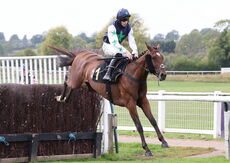 Molson Coors Con Jockeys' Handicap Chase