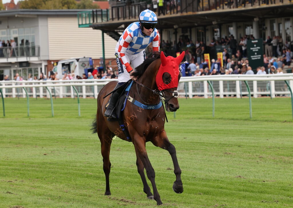 Jerroms Financial Group Nov Hurdle