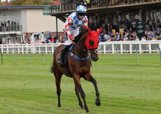 Jerroms Financial Group Nov Hurdle