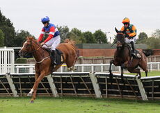 Jerroms Financial Group Nov Hurdle
