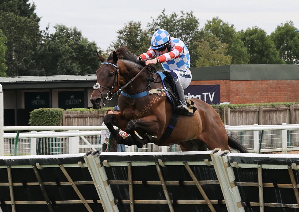 Jerroms Financial Group Nov Hurdle