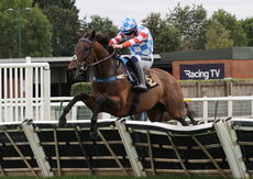 Jerroms Financial Group Nov Hurdle