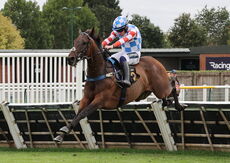 Jerroms Financial Group Nov Hurdle