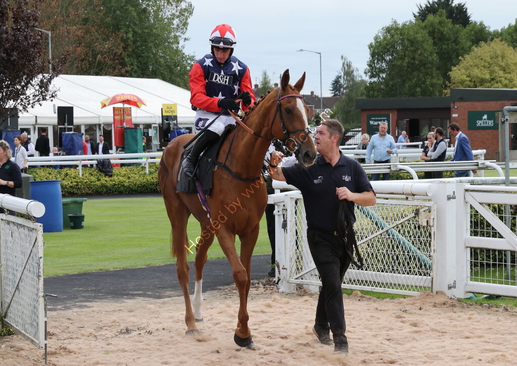 Paul Fergusons Jumpers To Follow Handicap Chase