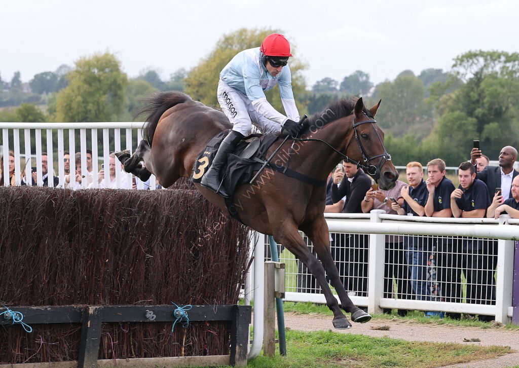 Paul Fergusons Jumpers To Follow Handicap Chase