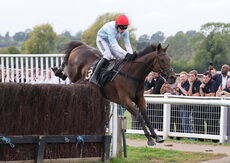 Paul Fergusons Jumpers To Follow Handicap Chase