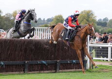Paul Fergusons Jumpers To Follow Handicap Chase
