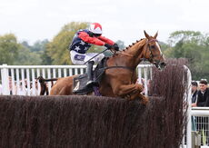 Paul Fergusons Jumpers To Follow Handicap Chase