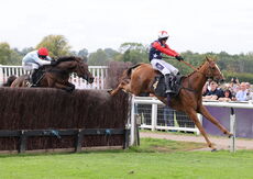 Paul Fergusons Jumpers To Follow Handicap Chase
