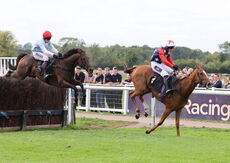 Paul Fergusons Jumpers To Follow Handicap Chase