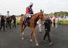 Paul Fergusons Jumpers To Follow Handicap Chase