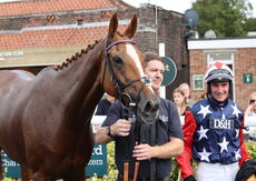 Paul Fergusons Jumpers To Follow Handicap Chase