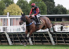 The Zulus Gonna Get Ya Mares' H'cap Hurdle