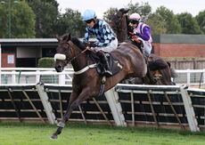 The Zulus Gonna Get Ya Mares' H'cap Hurdle