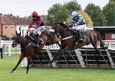 The Zulus Gonna Get Ya Mares' H'cap Hurdle