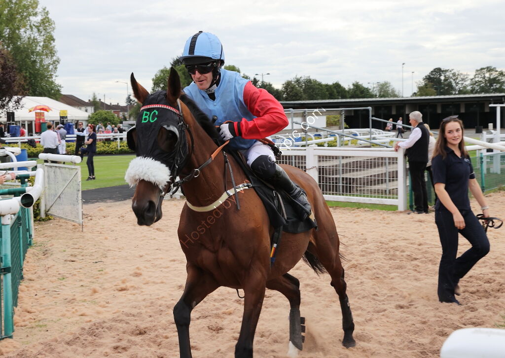 Abi and Brad Divorce Handicap Hurdle