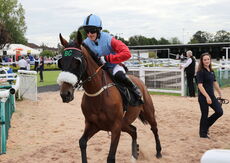 Abi and Brad Divorce Handicap Hurdle