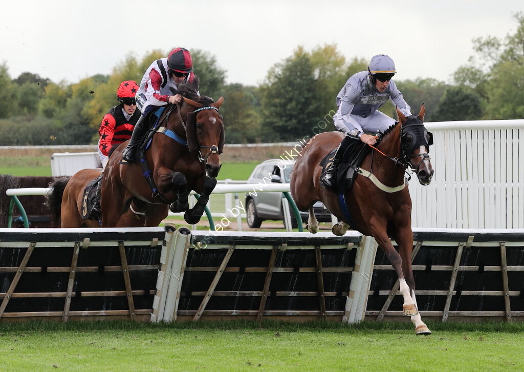 Abi and Brad Divorce Handicap Hurdle