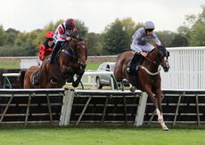 Abi and Brad Divorce Handicap Hurdle
